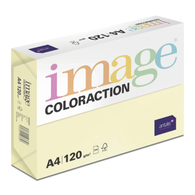 Papier Couleur A4 120 g/m² Image Coloraction Desert/Jaune