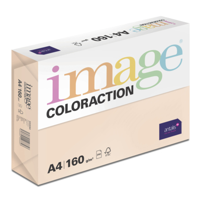 Papier Couleur Savana/Saumon A4 160 g/m² Image Coloraction