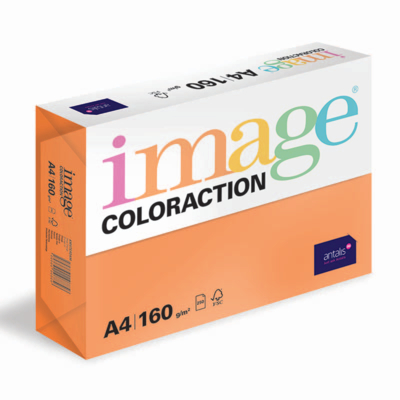 IMAGE COLORACTION TINTS AMSREDAM A4 160 GR