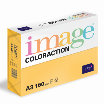 IMAGE COLORACTION TINTS HAWAII A3 160 GR
