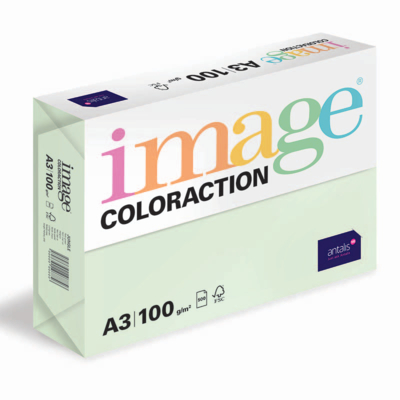IMAGE COLORACTION TINTS JUNGLE A3 100 GR
