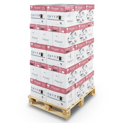 Ramette de Papier perforé 4 trous A4 80 g/m² Pioneer Premium Blanc
