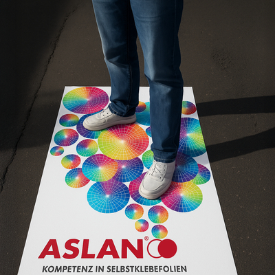 Aslan DFP 46 - Vinyle Polymère pour Surfaces Rugueuses