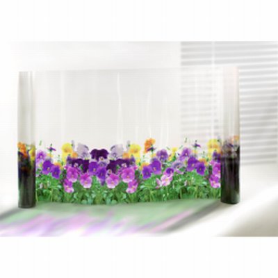 Photo produit Film fleurs Pensées (FLP193)