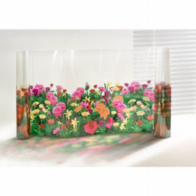 Photo produit Film fleurs Roses (FLR191)