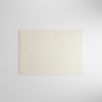 Enveloppe C5 Curious Particles Natural Lily Flower Boîte de 250