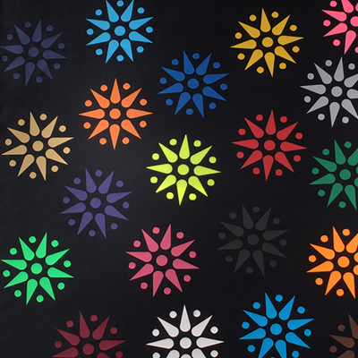 Siser, Videoflex, mat, PVC, P0019 - noir, 250µm, 500mm x 30.00m, hotmelt, Boîte de 1 rouleau, P0019/0.50