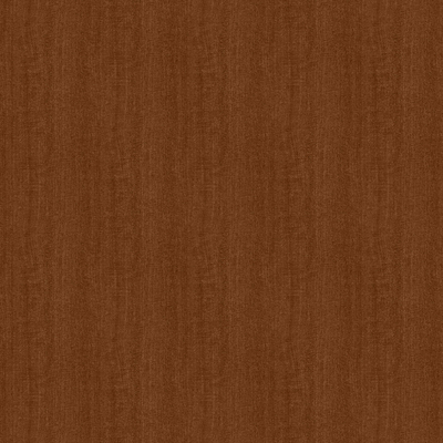 Film de Décoration 3M DINOC FW888