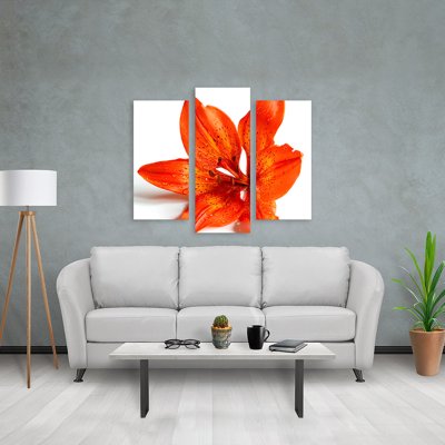 Coala Canvas PET W - Textile polyvalent - Bannieres-affichages pour roll-up -reproductions de photo -affichages PLV -revetements muraux-decoration interieure-Antalis