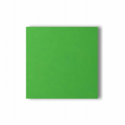 Adhésif Permanent Vert avec refente Raflatac Vellum 80 g/m² 500 mm x 700 mm Enramé