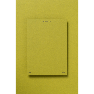 Papier Keaykolour Kiwi 300g/m² 700mm x 1000mm Paquet de 100 feuilles