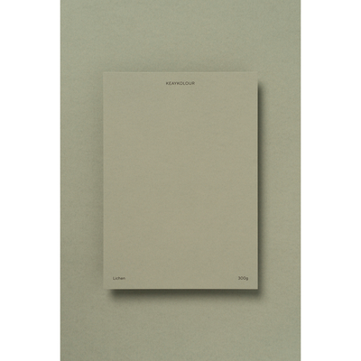Papier Keaykolour Lichen 300g/m² 700mm x 1000mm Paquet de 100 feuilles
