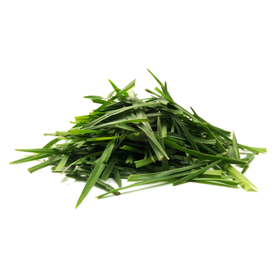 Visuels GRASIKRAFT Herbe 634930