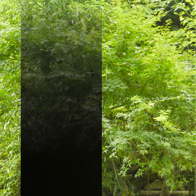 3M Fasara, film anti-regard, Dégradé polyester, Illumina Black, 80µm 1270mm x 30.00m, adhésif permanent Boîte de 1 rouleau, ILLUMINB