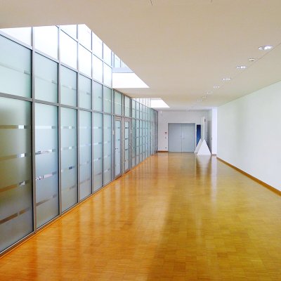 Coala Frosted - Adhésif décoratif effet givré pour vitrages