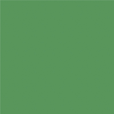 Avery 800 brillant 812 vert cactus adhésif permanent 1230 mm x 50 m(812/1.23)