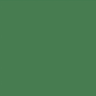 Avery 800 brillant 834 vert kelly adhésif permanent 1230 mm x 50 m(834/1.23)