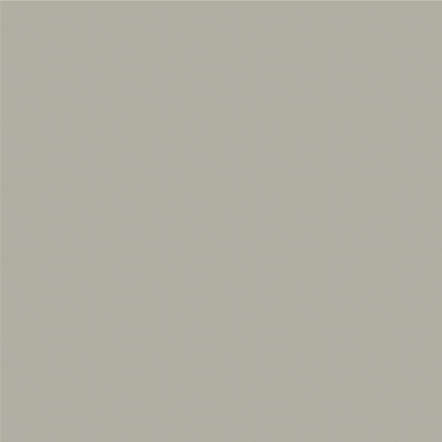 Avery 800 métallisé mat 835-01 argent métallisé mat adhésif permanent 1230 mm x 50 m(835-01/1.23)