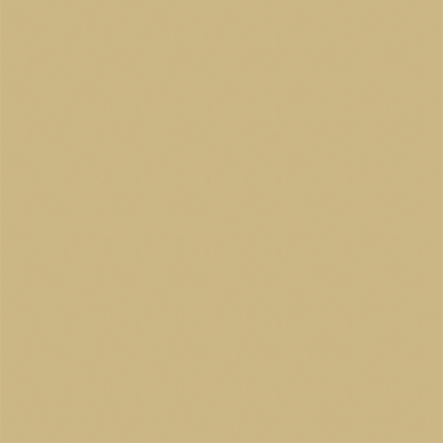 Avery 900 brillant 914 beige foncé adhésif permanent 1230 mm x 25 m(914/1.23)