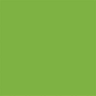 Avery 900 brillant 956 vert gazon adhésif permanent 1230 mm x 25 m(956/1.23)