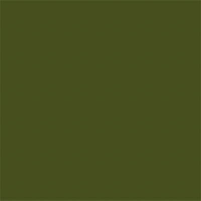 Avery 900 brillant 967 vert kaki adhésif permanent 1230 mm x 25 m(967/1.23)