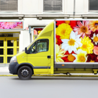 Avery MPI 2800 HOP Film polymère Blanc brillant Grande opacité Permanent