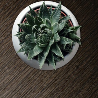 Mise en œuvre - Films de rénovation - Coala Interior Film Effet Métallique - Y4 - Antalis