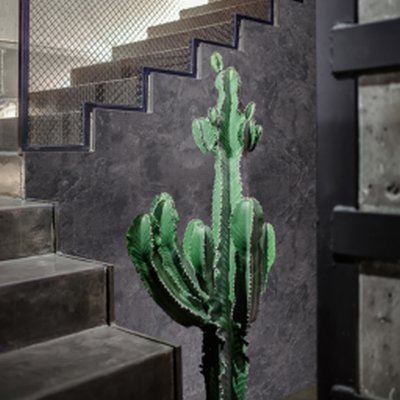 Mise en œuvre - Films de rénovation - Coala Interior Film Effet Pierres Naturelles - V7 - Antalis