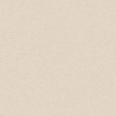 Coala Interior film Concrete NH49 - effet béton