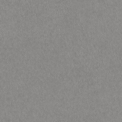 Films architecturaux - Aspect cuir - NE41- Antalis