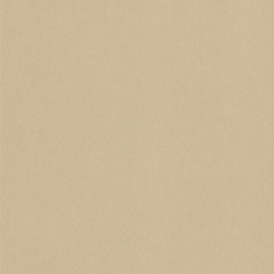 Films architecturaux - Aspect cuir - NE42- Antalis