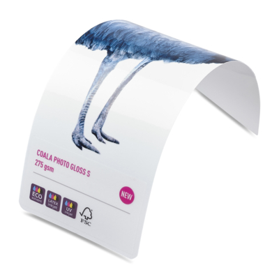 Papier Photo ultra brillant Coala Papier Photo Gloss 275 g/m² Impression :UV Latex éco-solvant 1372 mm x 30 m
