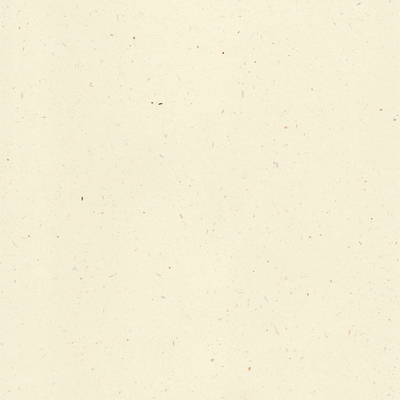 Enveloppe C5 Curious Particles Natural Lily Flower Boîte de 250