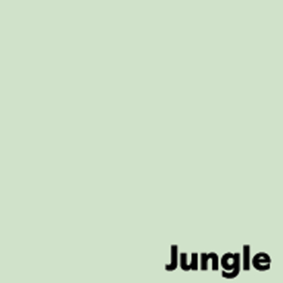 Papier Couleur Jungle/Vert Clair 160 g/m² 700 mm x 1000 mm Image Coloraction
