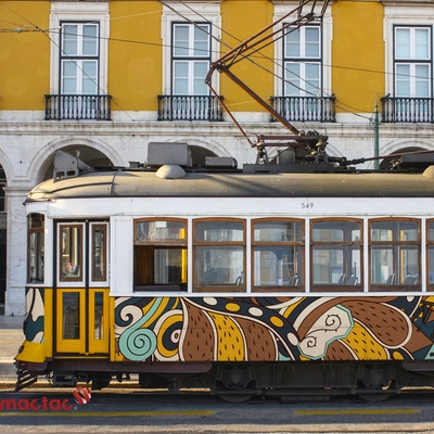 mactac jt 9300 wg pg