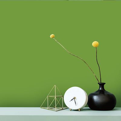 Mise en œuvre - Films de rénovation - Coala Interior Film Effet Couleurs Unies - M5 - Antalis