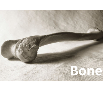 Avery Squid mat Bone Adhesif enlevable