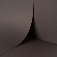 Papier Keaykolour Blackberry 300g/m² 700mm x 1000mm Paquet de 100 feuilles