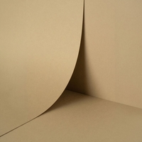 Papier Keaykolour Camel 120g/m² 700mm x 1000mm Paquet de 250 feuilles