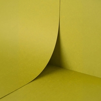 Papier Keaykolour Kiwi 120 g/m² 700 mm x 1000 mm Paquet de 250 feuilles