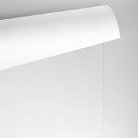 Papier Conqueror CX22 Brilliant White 100g/m² 450mm x 640mm Paquet de 500 feuilles