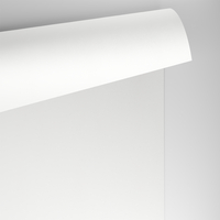 Papier Conqueror Wove Brilliant White 300g/m² 720mm x 1020mm Paquet de 100 feuilles