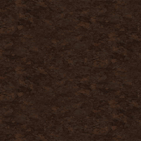 Film de Décoration 3M DINOC RT1112