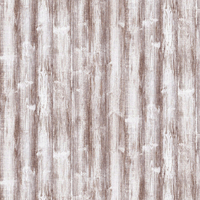 Film de Décoration 3M DINOC FW1307