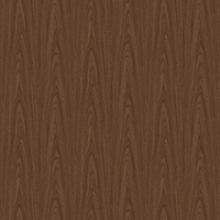 Film de Décoration 3M DINOC FW1021