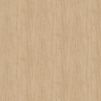 Film de Décoration 3M DINOC DW2201MT