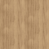 Film de Décoration 3M DINOC DW2204MT