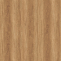 Film de Décoration 3M DINOC DW2208MT