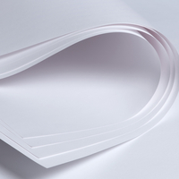 Bristol Millesime Premium blanc 250 g/m² A4