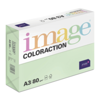 Papier Couleur Forest/Vert A3 80 g/m² Image Coloraction